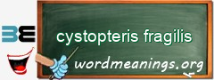 WordMeaning blackboard for cystopteris fragilis